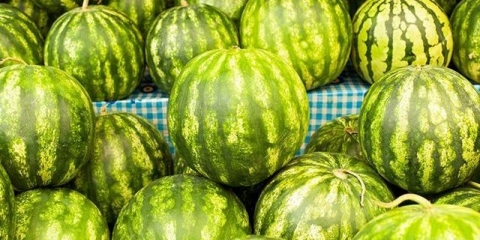 Kako uzgajati lubenice na otvorenom tlu u sibiru